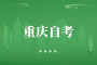 重庆理工大学是一本吗？